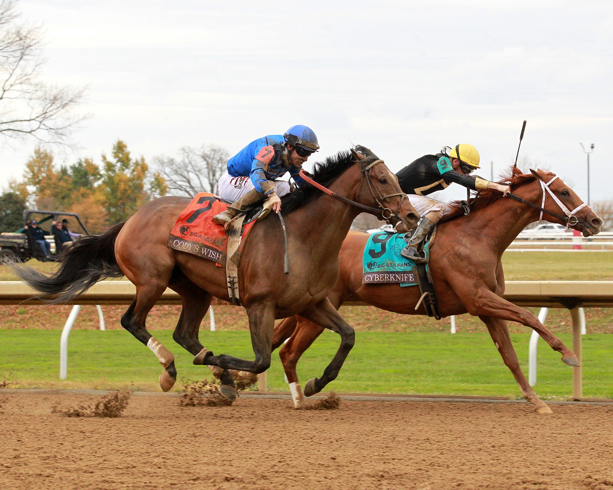 Breeders' Cup Dirt Mile Cody's Wish outbattles Cyberknife by a head